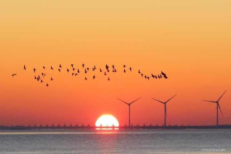 Heerenkeet 4 Pers Appartement Aan De Oosterschelde Kerkwerve Екстер'єр фото